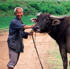 小型飼料顆粒機(jī),農(nóng)民圓夢！